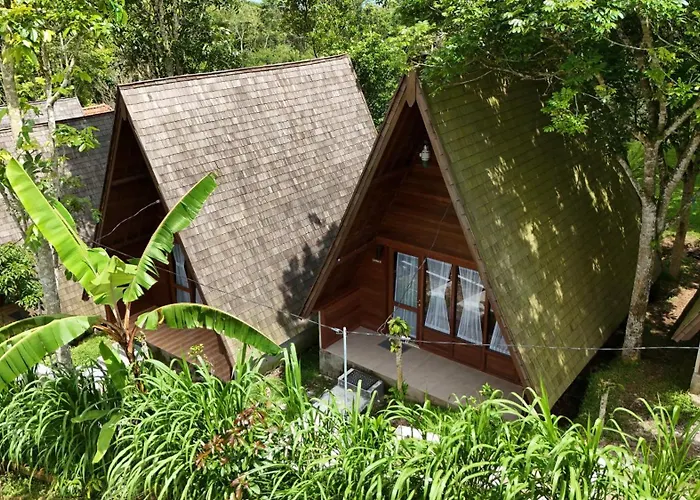 Mountain View Eco ロッジ