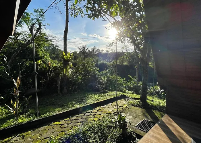 Mountain View Eco
